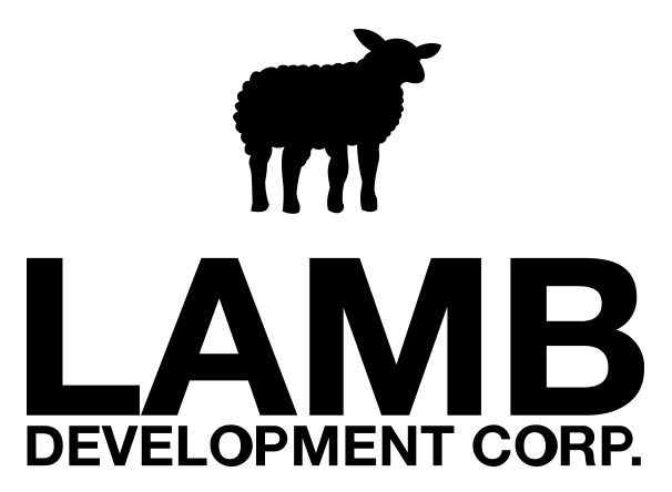 Developer Logo