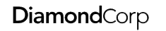 Developer Logo